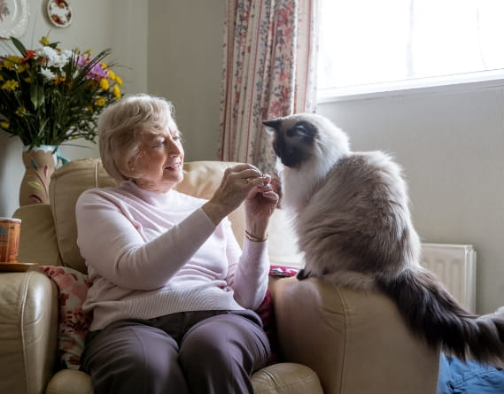 Assisting Elderly Woman in Transitioning to a Cozier Home.